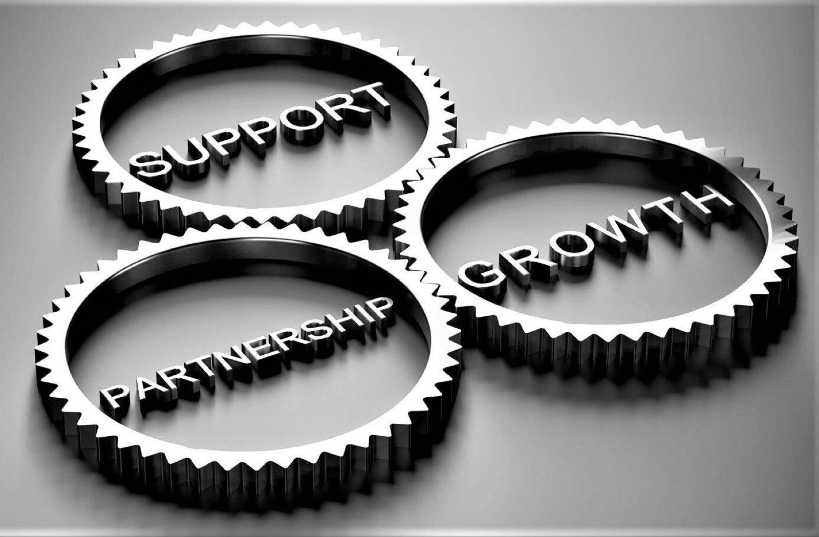 Financing partnership: Support, Partnership, Growth gears